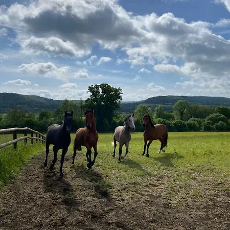 La Maison Du Gardien, Chateau De Lavenue Casa vacanze