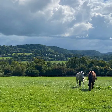 La Maison Du Gardien, Chateau De Lavenue Casa vacanze Pierrefitte-en-Auge
