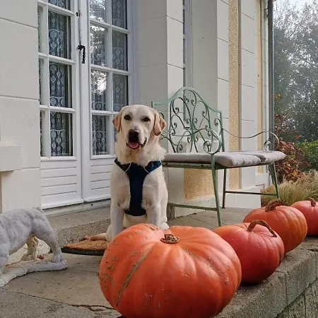La Maison Du Gardien, Chateau De Lavenue Casa vacanze *