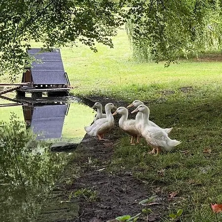 Casa vacanze La Maison Du Gardien, Chateau De Lavenue *