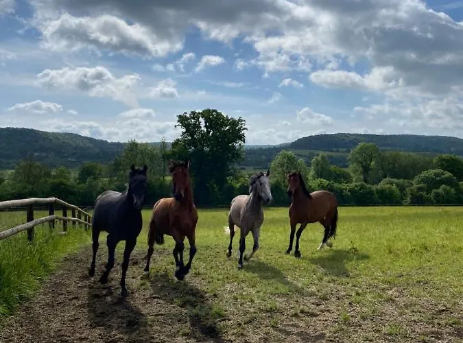 La Maison Du Gardien, Chateau De Lavenue Сasa de vacaciones