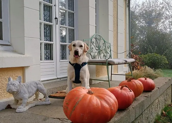 La Maison Du Gardien, Chateau De Lavenue Сasa de vacaciones *