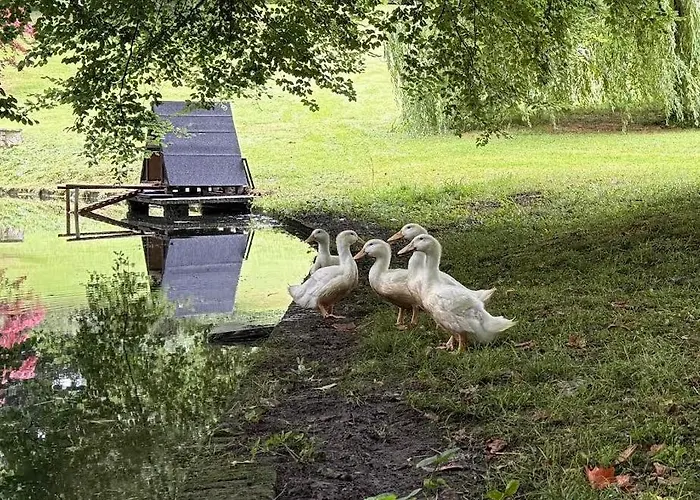 Hébergement de vacances La Maison Du Gardien, Chateau De Lavenue *